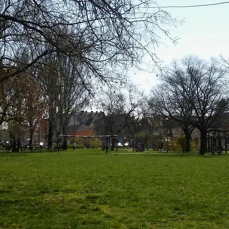 Szamóca * Szeged